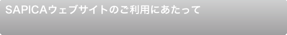 このサイトについて