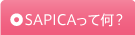 SAPICAって何?